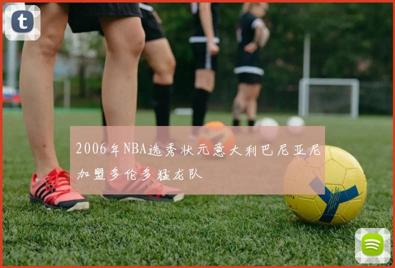 2006年NBA选秀状元意大利巴尼亚尼加盟多伦多猛龙队