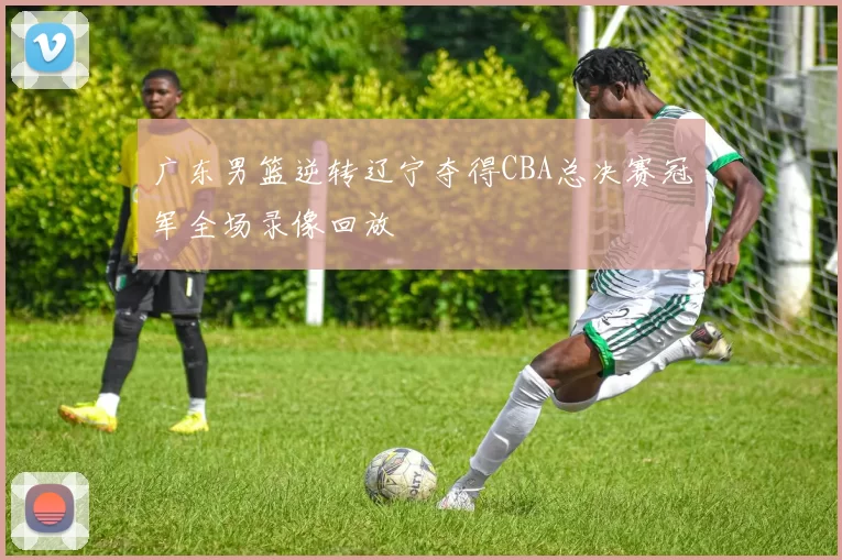 广东男篮逆转辽宁夺得CBA总决赛冠军全场录像回放