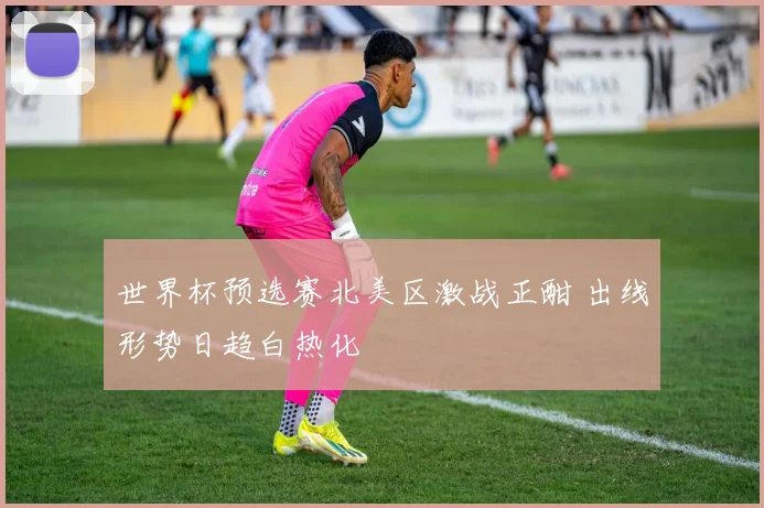 世界杯预选赛北美区激战正酣 出线形势日趋白热化