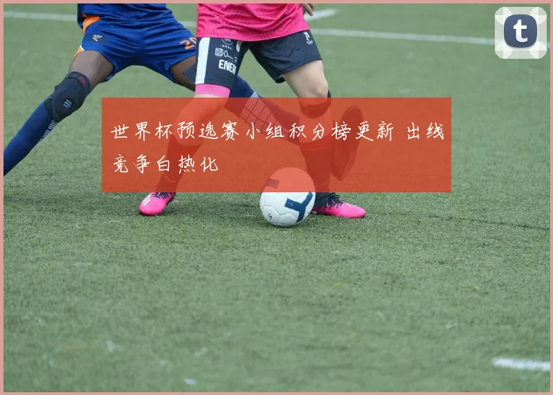 世界杯预选赛小组积分榜更新 出线竞争白热化